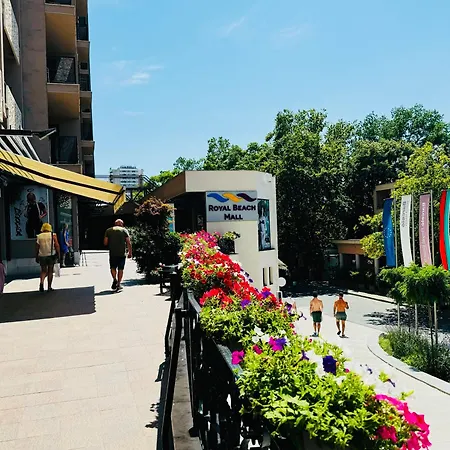 Royal Barcelo G404 Sunny Slăntjev Brjag