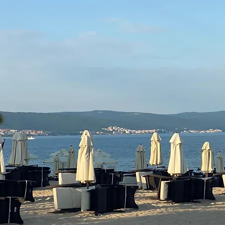 Royal Barcelo G404 Sunny Slăntjev Brjag
